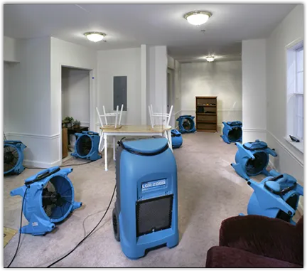 Mold Remediation & Removal in Richmond, RI